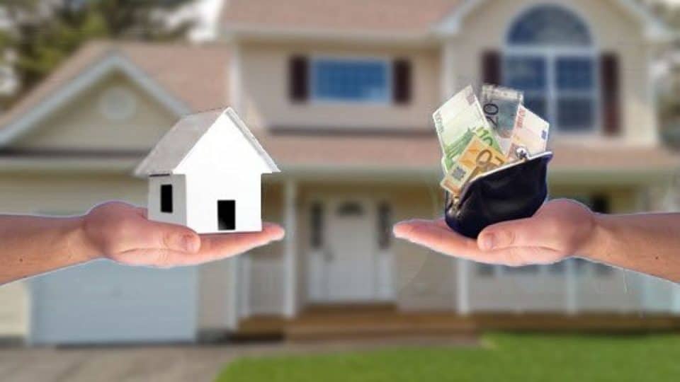 real estate agent