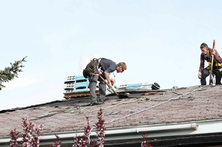 The Future of Roofing: Why New Jersey Homeowners Are Choosing Sustainable Materials